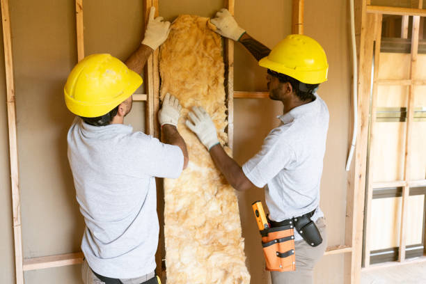 Professional Insulation in Stratford, TX